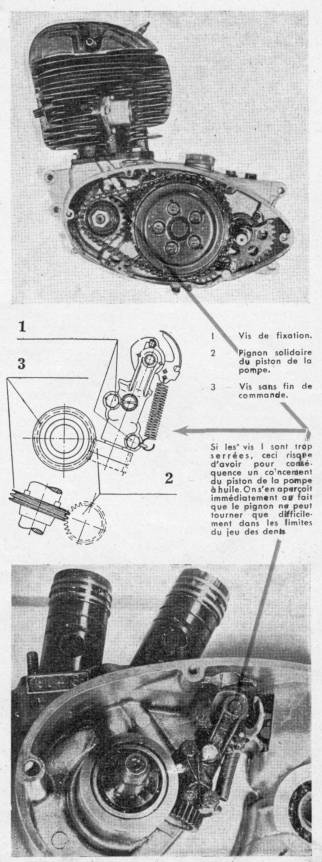 image 2 rtm 250 SG Puch