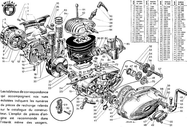 image 3 rtm 250 SG Puch